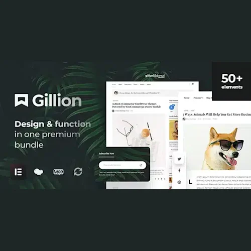Gillion Multi-Concept Blog Magazine & Shop WordPress AMP Theme