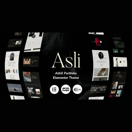 Asli - AJAX Portfolio Elementor WordPress Theme