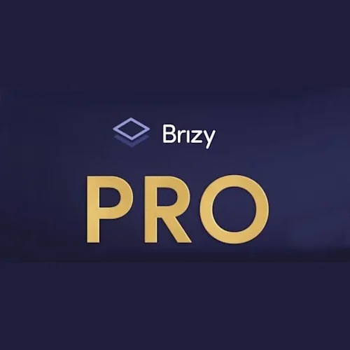 Brizy Pro WordPress Plugin