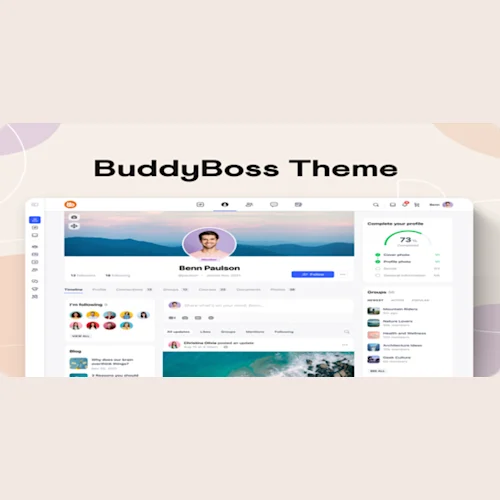 BuddyBoss Theme