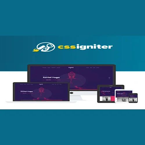 CSS Igniter Vigour WordPress Theme