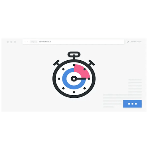 Perfmatters WordPress Plugin