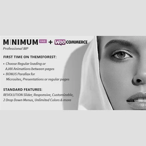 MINIMUM – Professional WordPress Theme