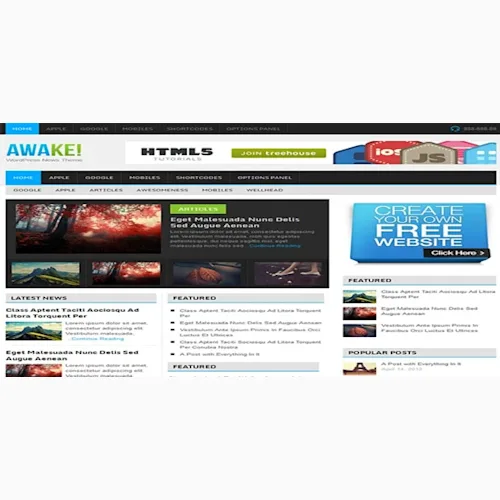 MyThemeShop Awake WordPress Theme