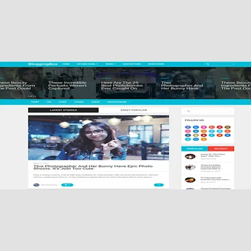 MyThemeShop Blogging Box WordPress Theme