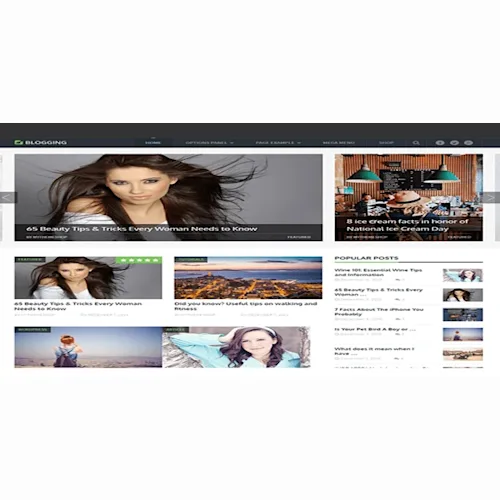MyThemeShop Blogging WordPress Theme