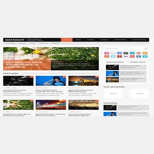 MyThemeShop Daynight WordPress Theme