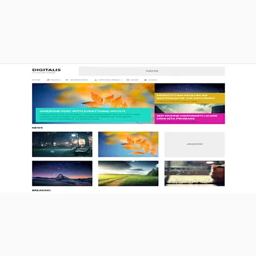 MyThemeShop Digitalis WordPress Theme