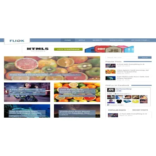 MyThemeShop Flick WordPress Theme
