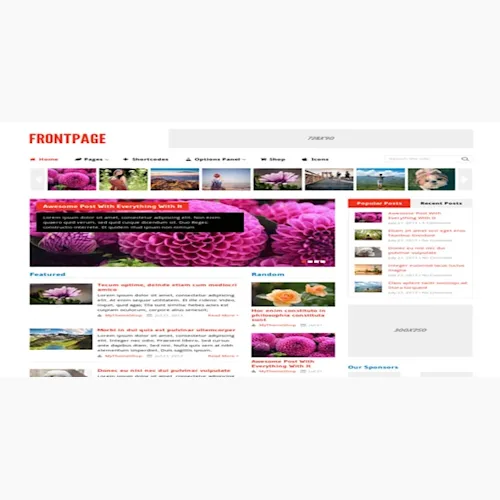 MyThemeShop Frontpage WordPress Theme