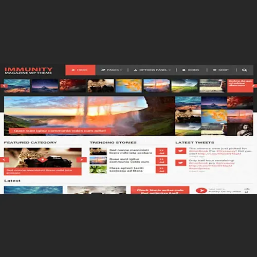 MyThemeShop Immunity WordPress Theme