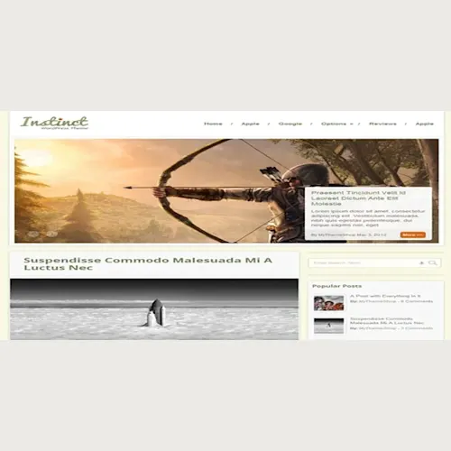 MyThemeShop Instinct WordPress Theme