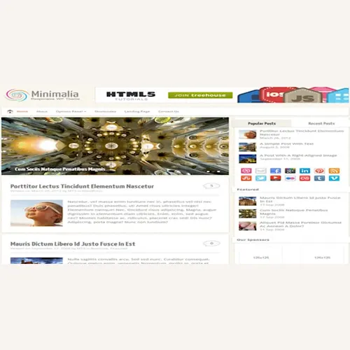 MyThemeShop Minimalia WordPress Theme