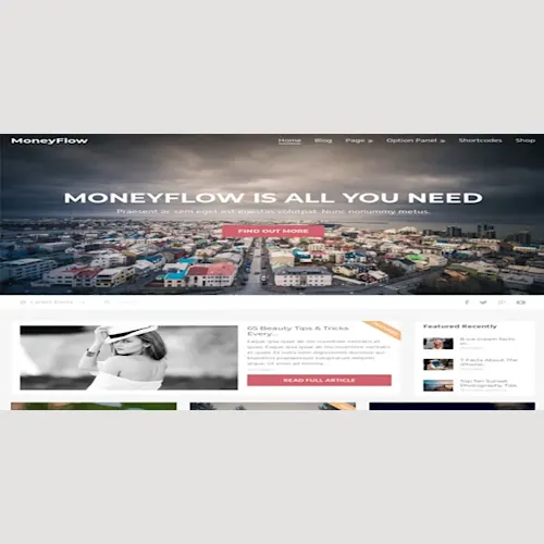 MyThemeShop MoneyFlow WordPress Theme