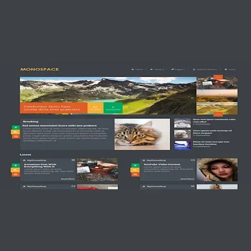 MyThemeShop Monospace WordPress Theme