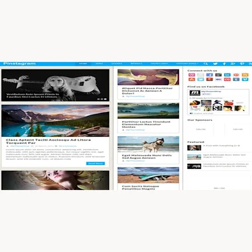 MyThemeShop Pinstagram WordPress Theme