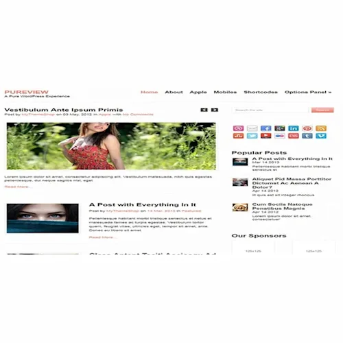 MyThemeShop Pureview WordPress Theme