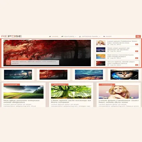 MyThemeShop Repose WordPress Theme