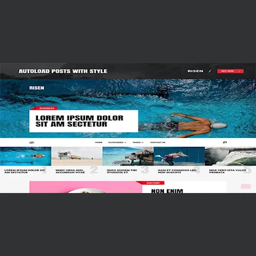 MyThemeShop Risen WordPress Theme