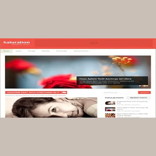 MyThemeShop Saturation WordPress Theme