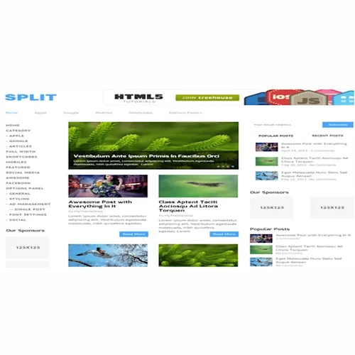 MyThemeShop Split WordPress Theme