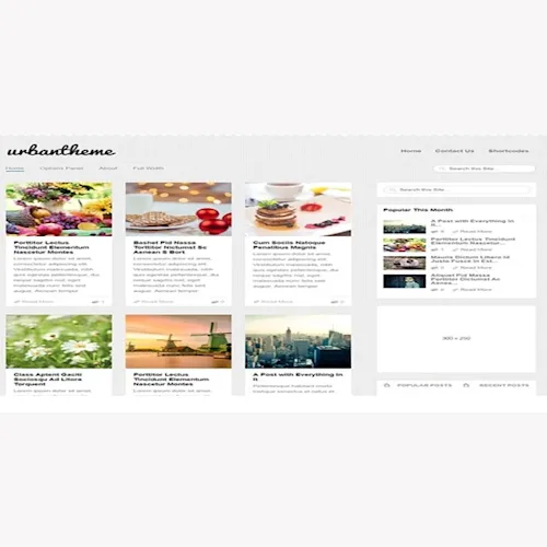 MyThemeShop Urban WordPress Theme
