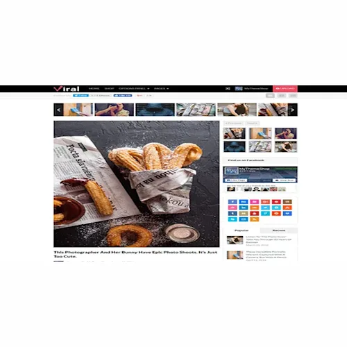 MyThemeShop Viral WordPress Theme