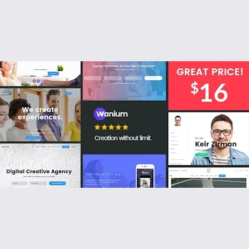 Wanium – An Elegant Multi-Concept Theme
