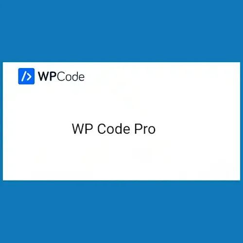 WPCode Pro – WordPress Code Snippets Plugin