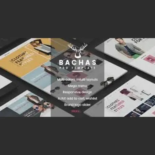 Bachas – Sectioned Multipurpose Shopify Theme