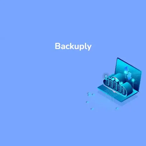 Backuply Pro WordPress Backup Plugin