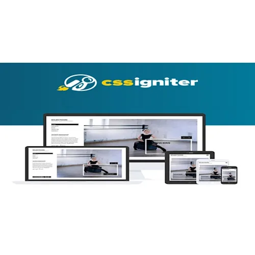 CSS Igniter Eclecticon WordPress Theme