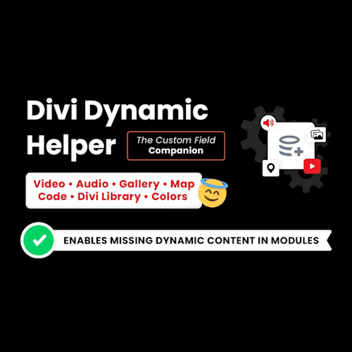 Divi Dynamic Helper – Add Flexibility to Your Divi Theme