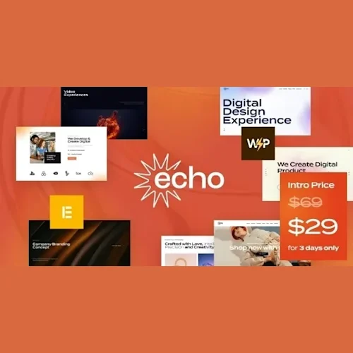 Echo - Digital Marketing & Creative Agency WordPress Theme