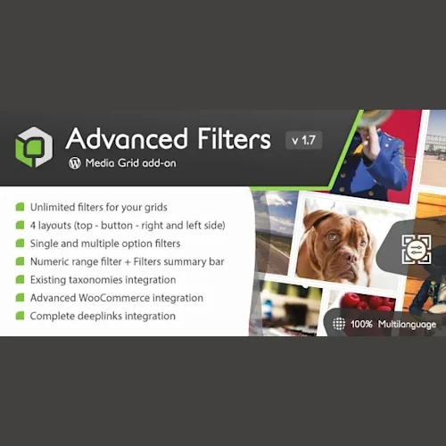 Media Grid Advanced Filters Add-on