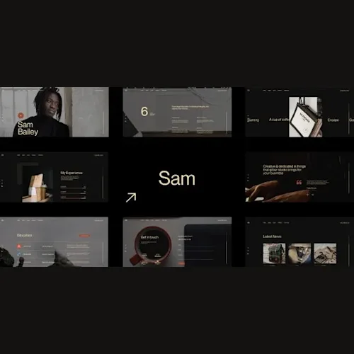 Sam Bailey – Personal CV/Resume WordPress Theme