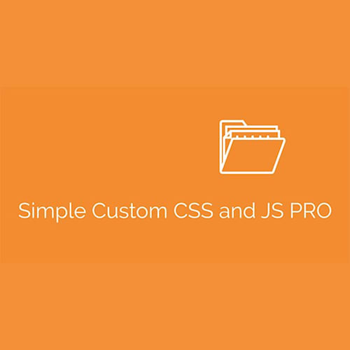 Simple Custom CSS and JS PRO