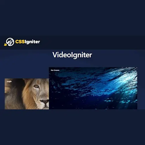 VideoIgniter Pro by CSSIgniter