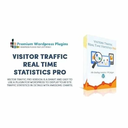 Visitor Traffic Real Time Statistics Pro