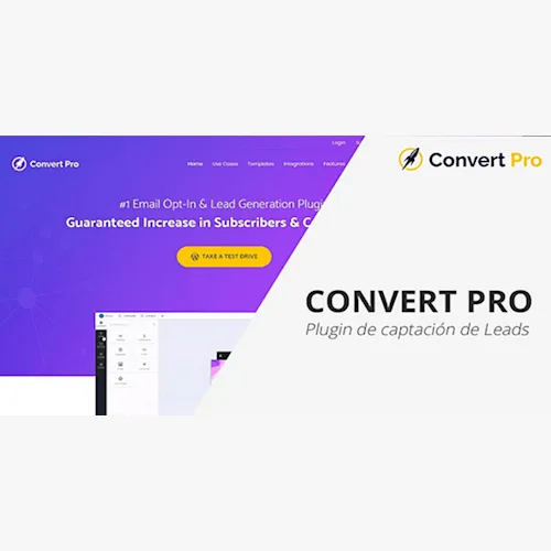 Convert Pro WordPress Plugin