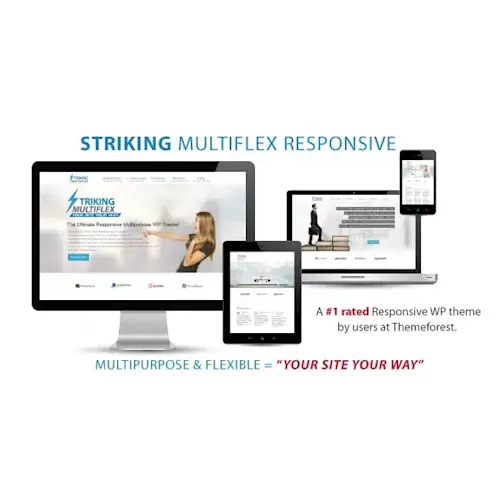 Striking – MultiFlex & Ecommerce Responsive WordPress Theme